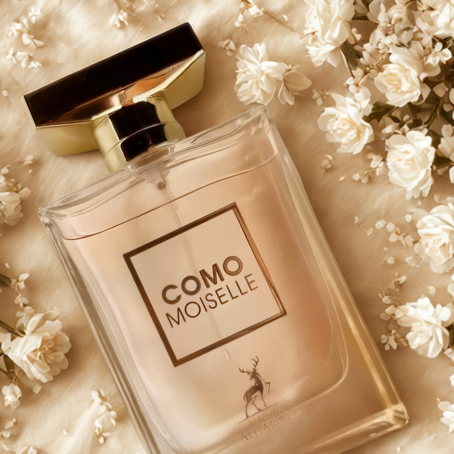 Perfume árabe Como Moiselle Maison Alhambra, disponível na Velyre, posicionado sobre superfície clara e brilhante, cercado por pequenas flores brancas, realçando luz natural e feminilidade da fragrância.