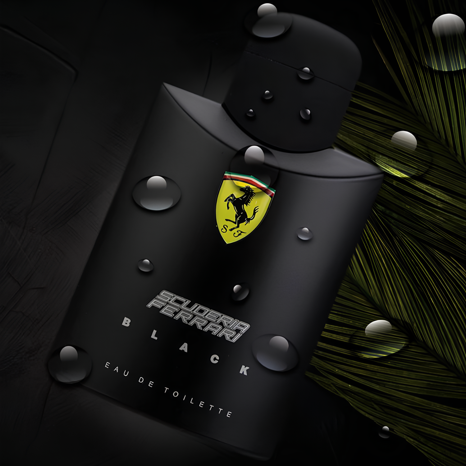 rasco preto do Ferrari Scuderia Black deitado sobre superfície escura com folhas tropicais, coberto por gotas d’água que ressaltam frescor e intensidade.