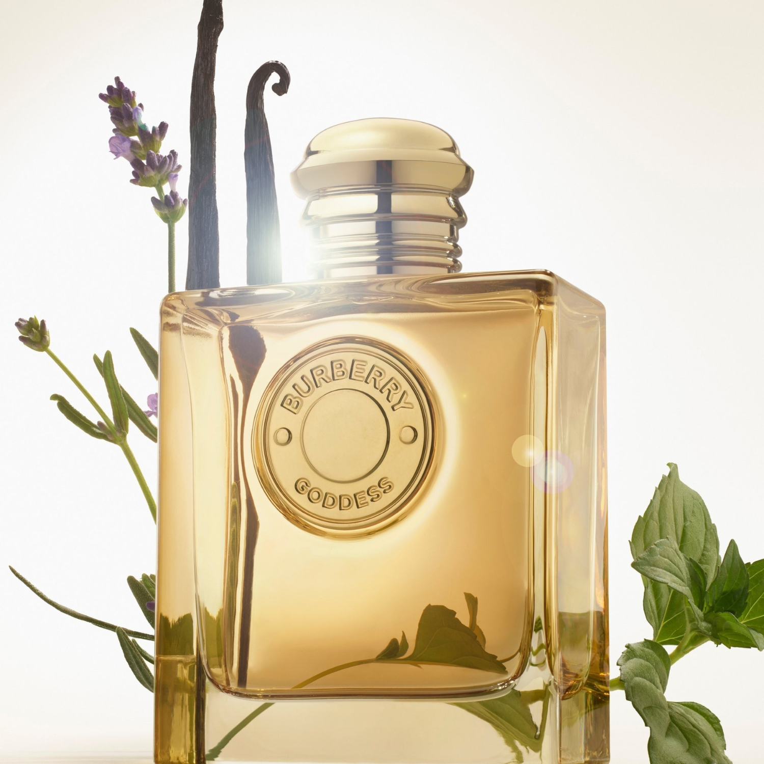 Perfume Burberry Goddess iluminado por luz suave ao lado de lavanda, baunilha e folhas verdes, representando notas olfativas naturais e sofisticadas da fragrância.