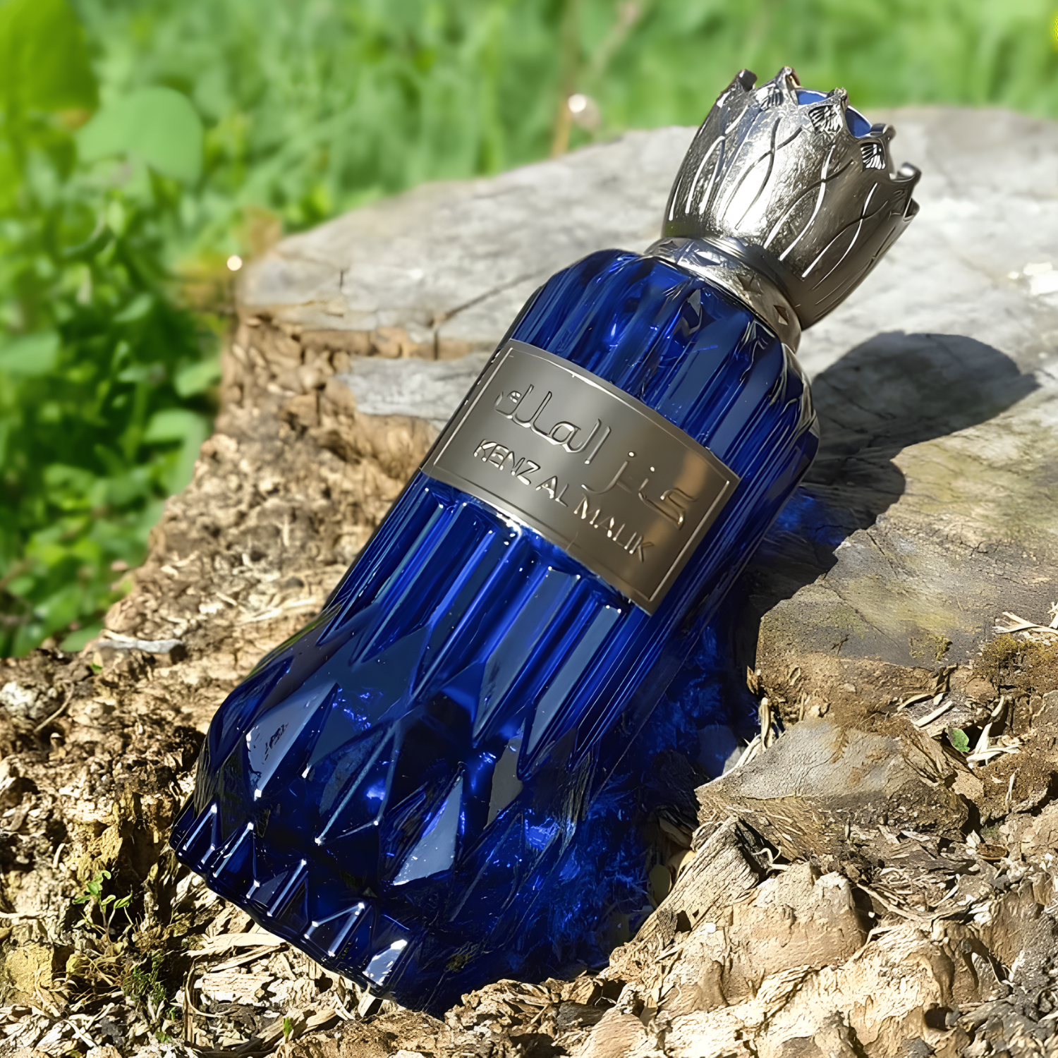 Perfume árabe Kenz Al Malik Al Wataniah, disponível na Velyre, sobre tronco rústico com grama verde e luz solar suave, evocando frescor amadeirado.