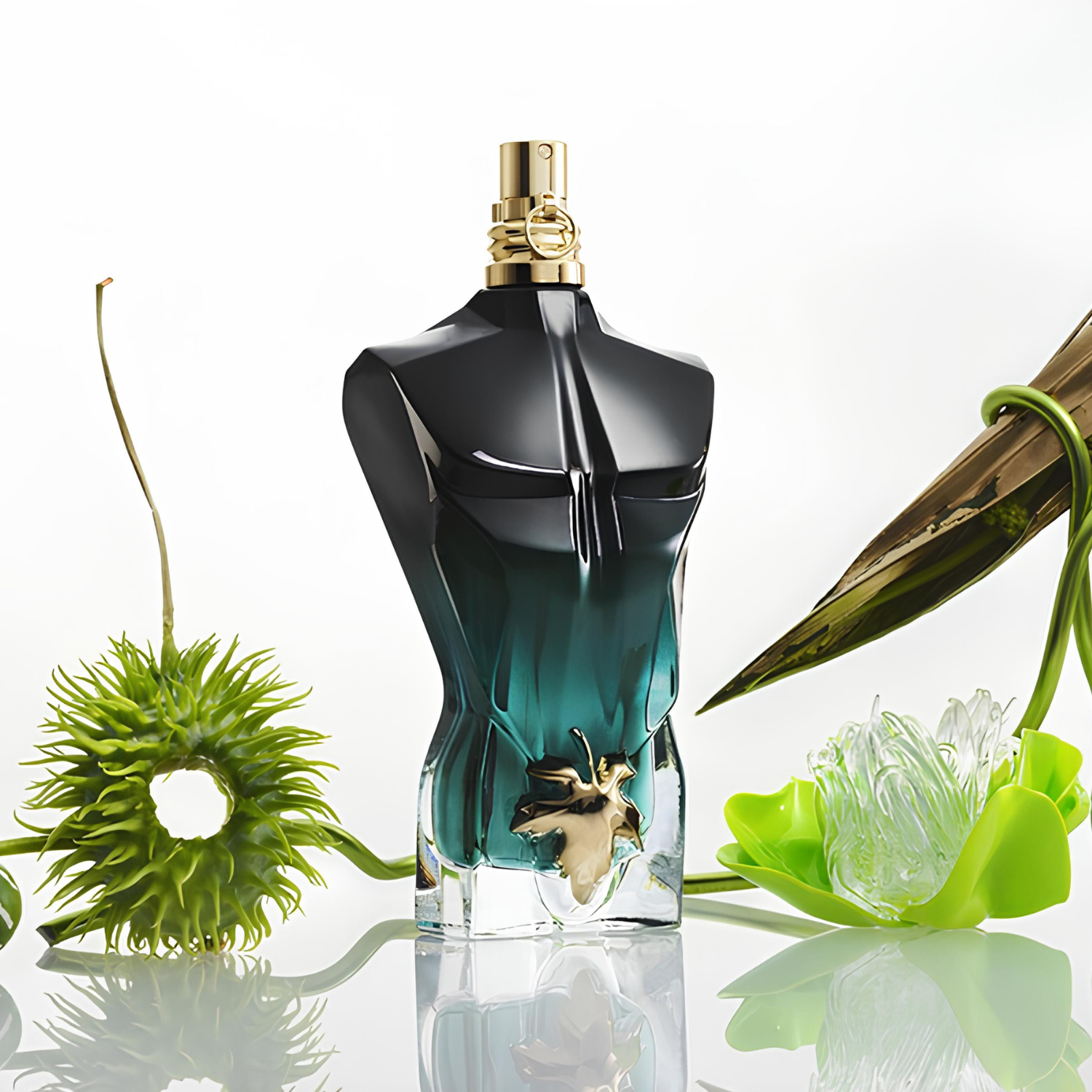 Perfume Le Beau Le Parfum Jean Paul Gaultier cercado por plantas exóticas de formatos incomuns, incluindo uma esfera espinhosa verde e uma folha translúcida, transmitindo uma atmosfera de mistério e natureza exuberante.