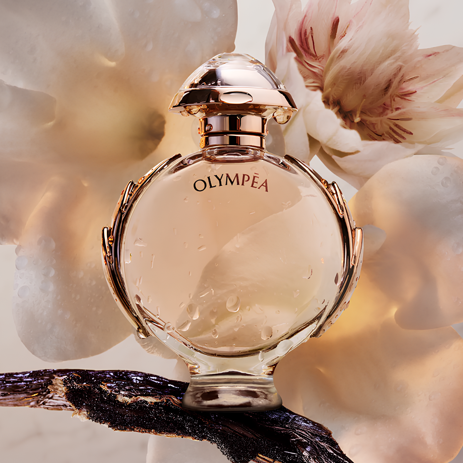 Perfume importado feminino Olympéa Rabanne em destaque com uma grande flor de pétalas claras e um pedaço de madeira escura e texturizada, sugerindo um contraste olfativo entre frescor e intensidade, disponível na Velyre.