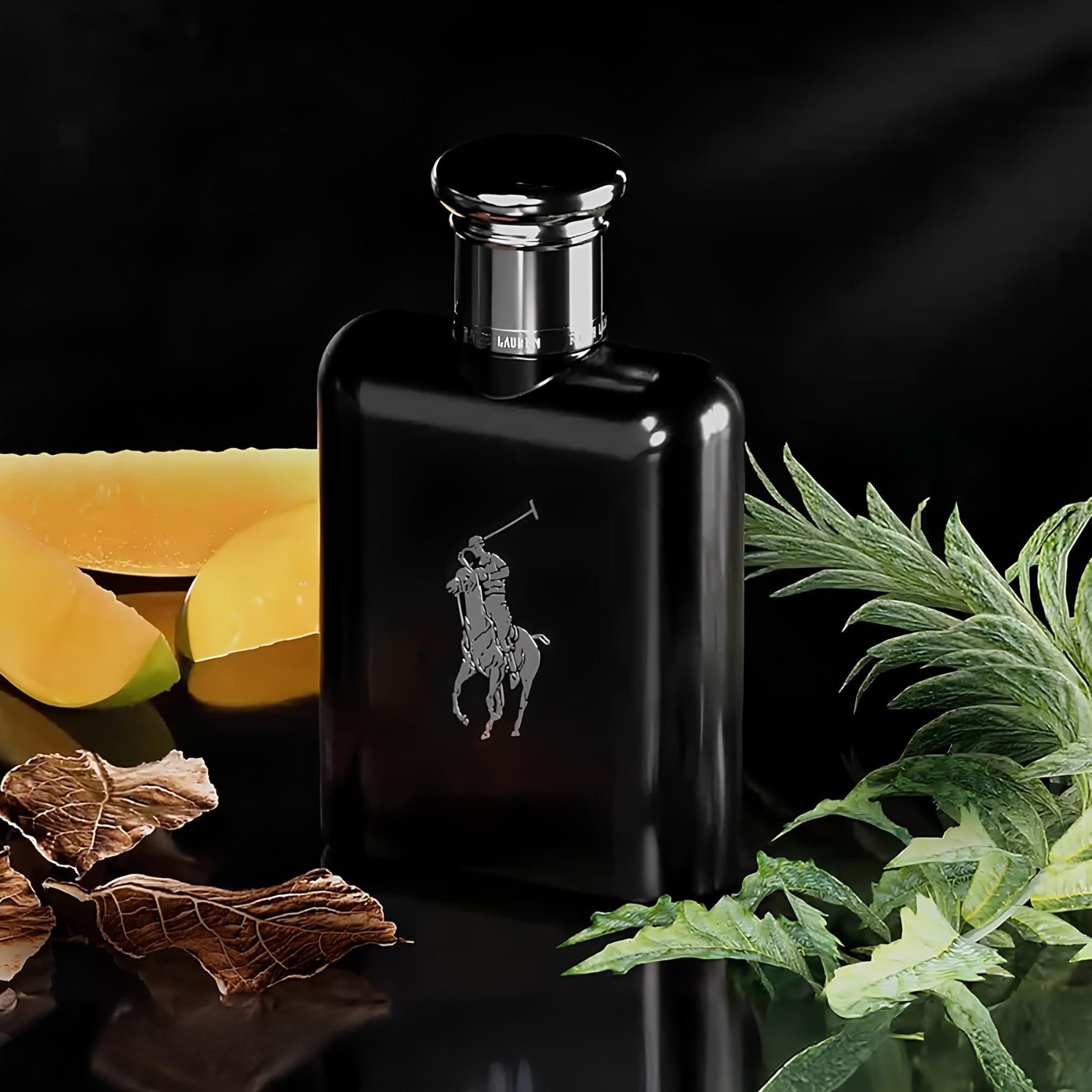 Perfume Polo Black Ralph Lauren posicionado sobre uma superfície preta brilhante, cercado por folhas verdes, lascas de madeira e pedaços de manga, sugerindo uma combinação de notas amadeiradas, frutadas e aromáticas.