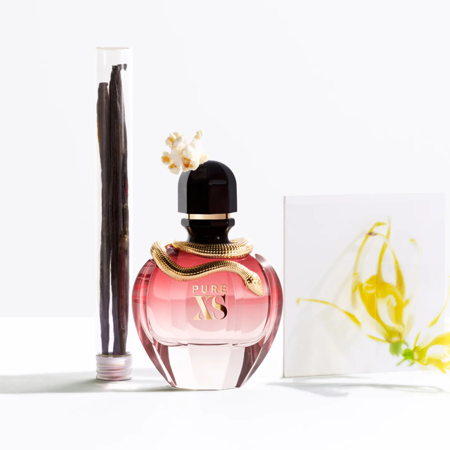 Perfume Pure XS For Her Rabanne em destaque ao lado de favas de baunilha dentro de um tubo de ensaio e um pequeno buquê de pipoca branca, sugerindo as notas gourmand e viciantes da fragrância.