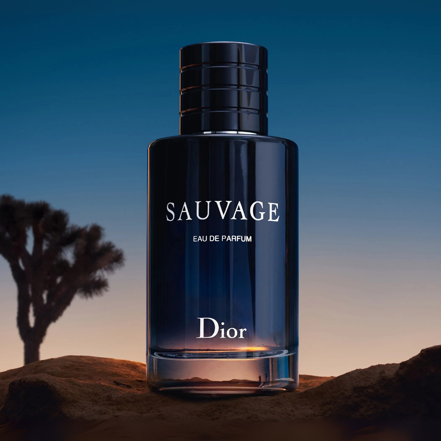 Perfume masculino Sauvage Dior em destaque em uma paisagem desértica ao pôr do sol, com um arbusto solitário e o céu em tons de azul e laranja, evocando uma fragrância para o homem livre e selvagem.